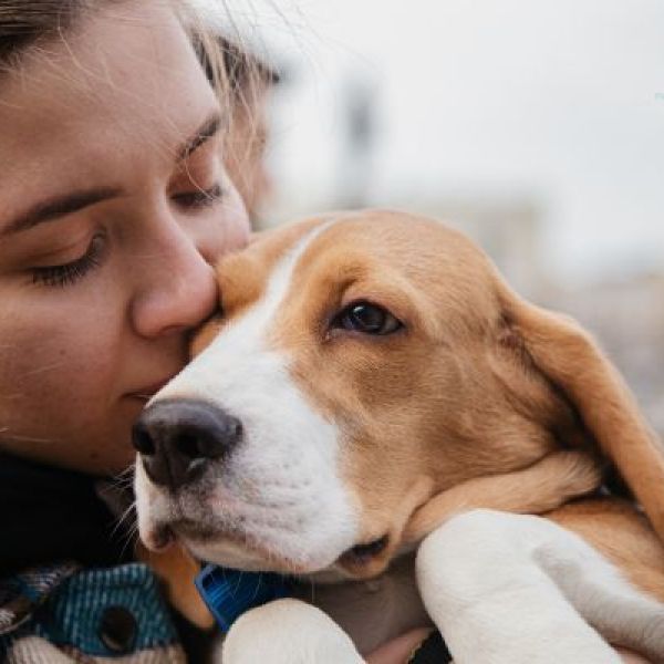 Animais de estimação