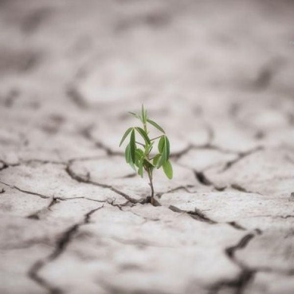 Resiliência